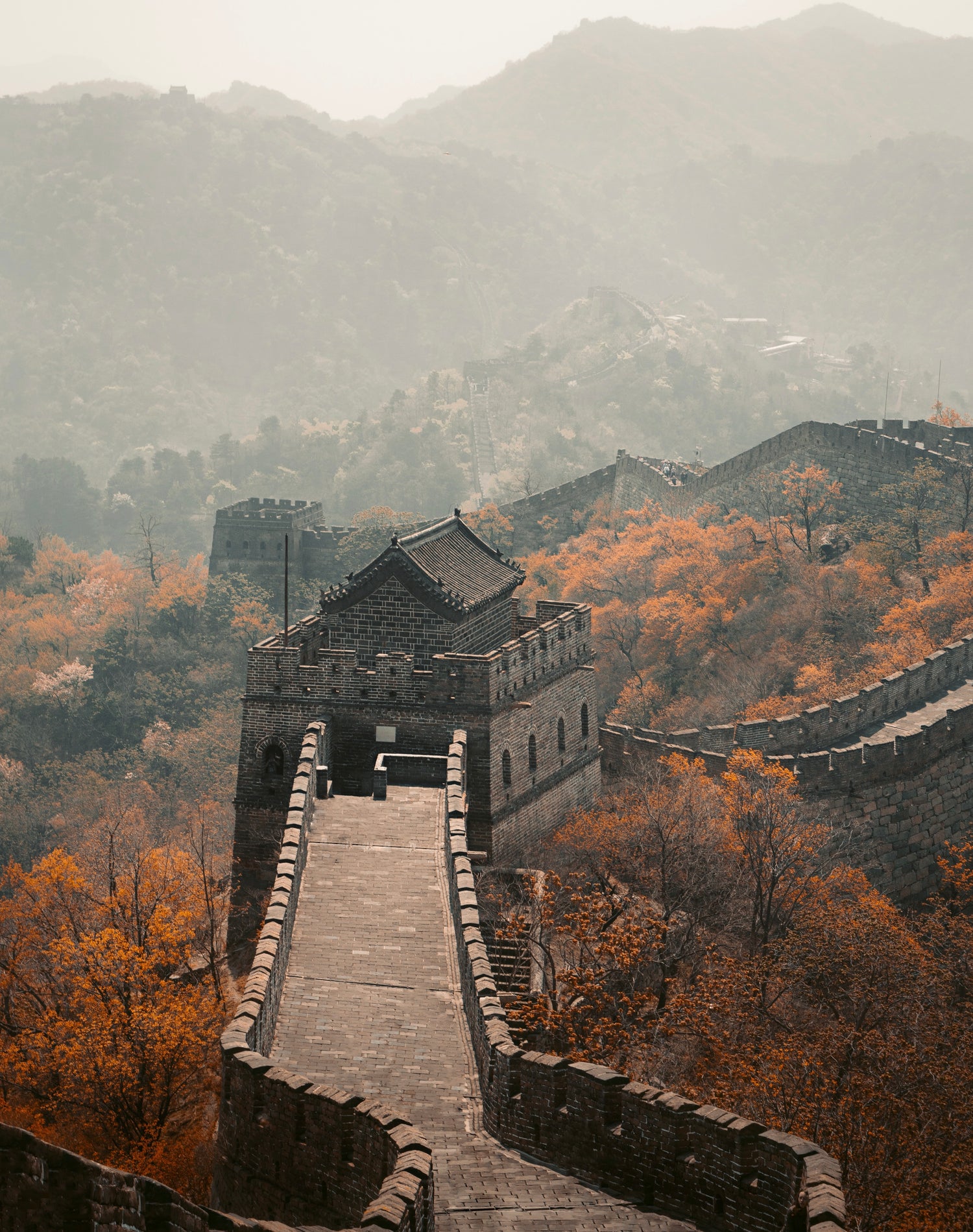 Chinese Inspired Compositions