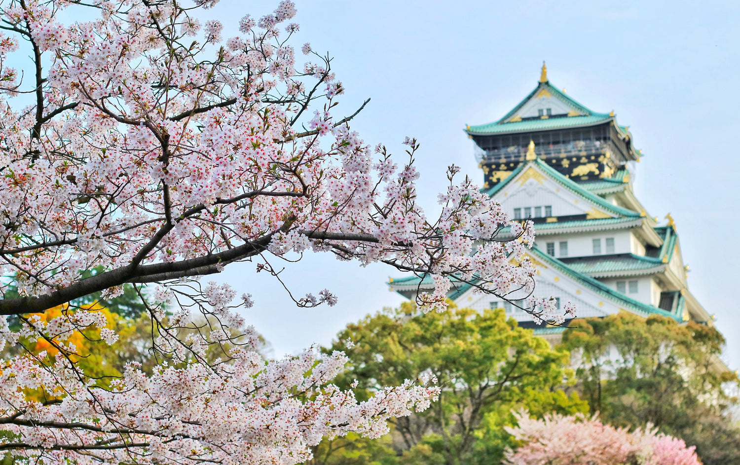 Japanese Inspired Compositions