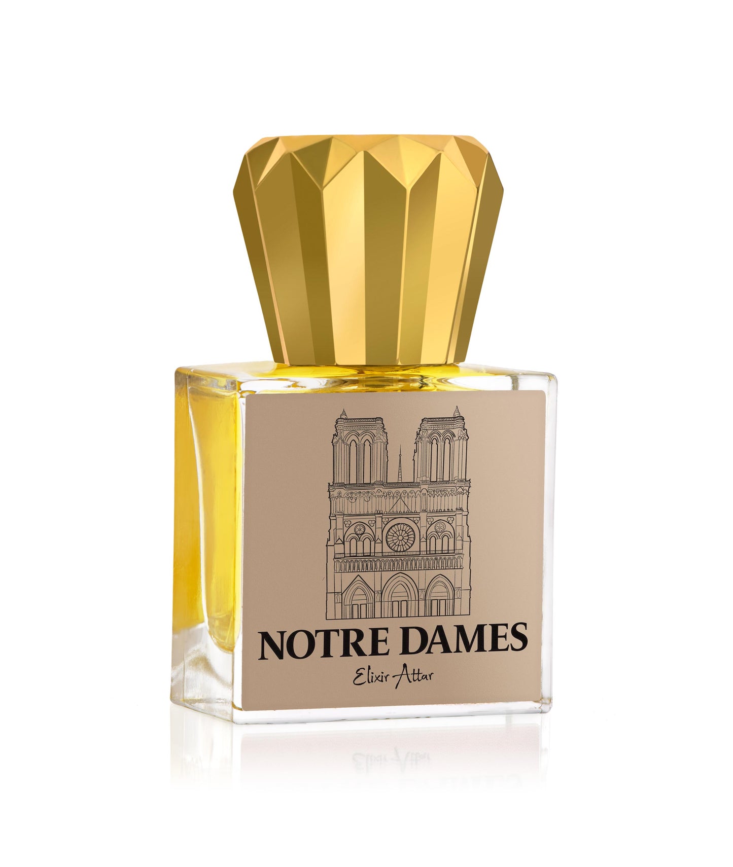 Notre Dames