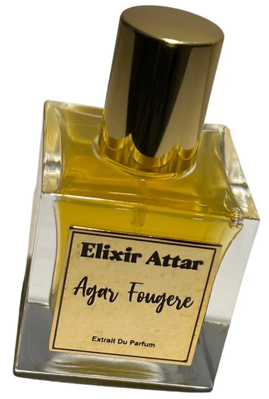 Agar Fougere by